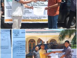 PT Musim Mas Salurkan 12 Hewan Kurban ke 12 Desa dan Kelurahan di Empat Kecamatan.