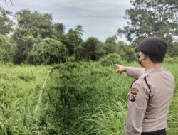 Polsek Pangkalan Kerinci Giata Laksanakan Patroli Pencegahan Kebakaran