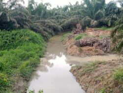 Pabrik PT. IIS Buatan II Diduga Sengaja Buang Air Kotoran Hitam Pekat dan Berbau ke Sungai Godung