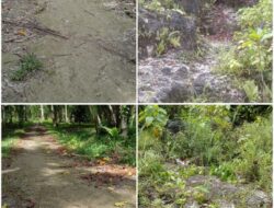 Pembuatan Jalan Tani Jalan Produksi di Desa Dalum Yang di Biayai Oleh DDS Adalah Incaran Para Koruptor