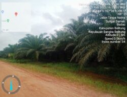 Diduga Perusahan Sawit PT. HBA Merambah Kawasan HL, Sulit Tersentuh Hukum?