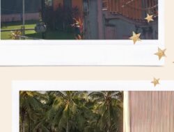 Harga Beras Medium Di Naikan