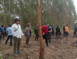 Kuasa Hukum Batin Sengeri Edwin, SH Tanggapi Atas Aksi PT. Arara Abadi Bawa Ratusan Orang ke Lahan 2090 Ha