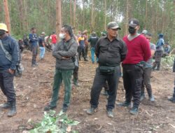Vidio : PT. Arara Abadi Kerahkan Security Hadang Kegiatan Masyarakat di Lahan 2090 Ha Milik Batin Sengeri