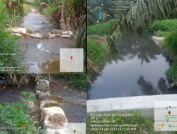 Diduga Limbah Pabrik Sawit PT.IIS Kebun Buatan Tidak Tertata Dengan Baik, Menimbulkan Bau Busuk Yang Menyengat.