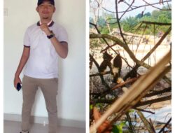 Belasan PETI Kembali Mengobrak Obrik Bendungan Desa Muaro Sentajo