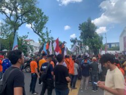 Mayday Internasional Diwarnai Pembagian Setangkai Mawar