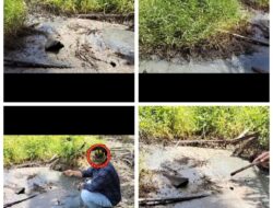 Diduga Cemari Lingkungan PKS PT.Sari Lembah Subur akan Digugat LSM Lingkungan