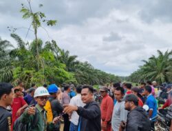 Menguak Mafia Lahan Sawit di Kerumutan, Ratusan Masyarakat Dusun I Kopau Tidak Terima Haknya