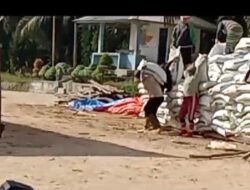 Diduga Perusahaan PT. Mekarsari Alam Lestari Memperkejakan Ibu-ibu Membongkar Muat Pupuk.