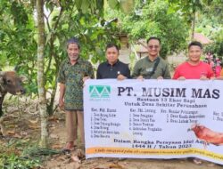 PT. Musim Mas Tahun ini Salurkan 13 Ekor Sapi Hewan Qurban Jelang Idul Adha 1444 H