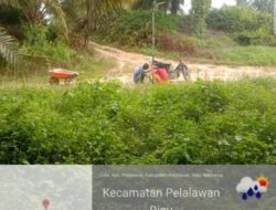 Afdeling 1 KSP PT. Inti Indosawit Subur Yang Berada di Desa Delik Tutup Mata