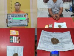 Tim Mata Elang Satres Narkoba Polres Kuansing Ungkap Kasus Tindak Pidana Narkotika Jenis Daun Ganja Kering