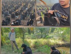 Ketua DPRD Baharuddin, SH, MH Meradang,Diduga Disbunak Semai Bibit Sawit Tidak Ada Perencanaan