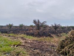 Diduga Lahan Sawit Milik PT. GUP di Desa Kemang Kecamatan Pangkalan Kuras Kabupaten Pelalawan Terbakar