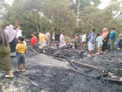 Si Jago Merah Luluh Lantakkan Rumah Warga Desa Betung