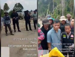 Diduga PT. PSS Serobot Lahan Perkebunan Milik Warga  Dusun Seminai Desa Rantau Kasih