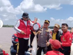 Festival Menjaring Ikan Patin Kualo di Kecamatan Teluk Meranti Berlangsung Meriah, Kapolres Pelalawan Himbau Masyarakat Tetap Jaga Keamanan
