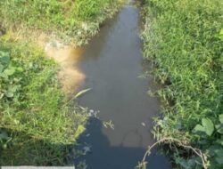 Sungai Tanglo Diduga Tercemar Limbah PT Sari Lembah Subur