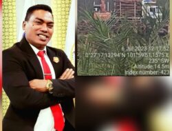 Mengungkap Tabir Tiga Perusahaan Dugaan TPPU DI Lahan PT PKS