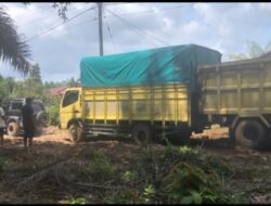 Jalan Simpang Palmaris-Bintuhan Bejangkar Seperti Kubangan Sapi Redaksi – Kamis, 23 November 2023