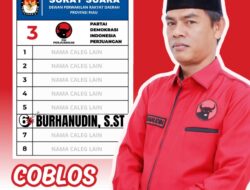 Incar Kursi DPRD Provinsi Riau, Dapil Delapan Inhu Kuansing Burhanudin S,ST Maju Lewat Partai PDIP