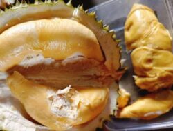 Ketua Alumni Gontor Bangka Belitung Acungi Jempol Durin Om Max