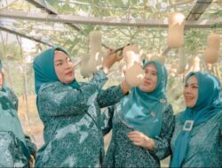 Memperingati HKG PKK Ke-52, Tim Penggerak PKK Rohil Ikuti Kegiatan Penanaman Cabai Serentak Nasional