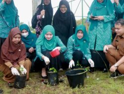 HKG PKK Ke-52, Ketua TP PKK Kabupaten Pelalawan Ikut Serta Dalam Gerakan Serentak Menanam Cabai