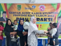 DP2KBP3A Rohil Bersama Puskesmas Bagansiapiapi Ikuti Gebyar Audit Kasus Stunting