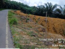 Masyarakat Desa Trans Singingi Hilir Resah Akibat Galian Parit Gajah Yang Dilakukan Perkebunan PT. Air Kampar