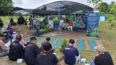 JMSI Riau Kunjungi Pusat Pembibitan Agroforestri Mitra PHR di Pematang Pudu
