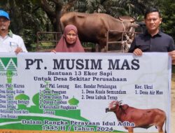 PT. Musim Mas Berbagi Keberkahan Dengan Salurkan 13 Ekor Hewan Qurban Untuk Masyarakat Sekitar Perusahaan