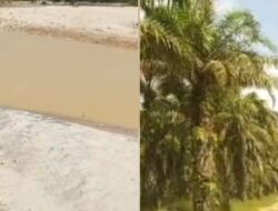 Gawat.! Diduga Lahan Kebun PEMDA Ini di Garap Para Mafia PETI Selama Belasan Tahun