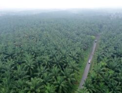 Berharap Dapatkan Legalitas Atas tanah, Petani Sawit Dukung H Zukri Surati PPTPKH