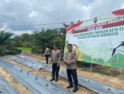 Polsek Singingi Dukung Program ASTA CITA Presiden RI Melalui Cek Lokasi Ketahanan Pangan