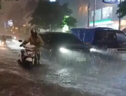 Plt. SDA Jakarta Ika Agustin Ningrum, Dinilai Lambat dan Gagal Menanggulangi Banjir Jakarta