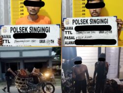 Polsek Singingi Amankan Dua Pelaku Pencurian Buah Kelapa Sawit di Desa Sungai Bawang