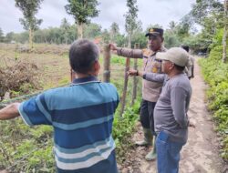 Polsek Kuantan Hilir Laksanakan Penanaman Jagung Pakan dalam Mendukung Program Ketahanan Pangan Nasional