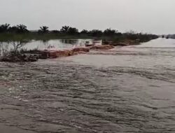 Banjir di Langgam Bakal Lama Surut, Tanggul Buatan RAPP Jadi Penyebab