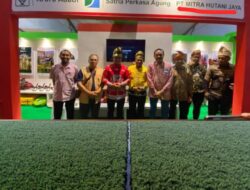 8 Tahun Kerjasama, PT Mitra Hutani Jaya Tak Bayar Fee Akasia ke Masyarakat Pulau Muda