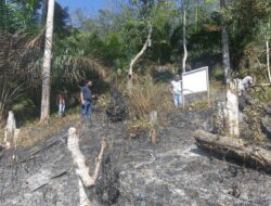 Polres Kuantan Singingi Ungkap Kasus Kebakaran Lahan di Kawasan Hutan Lindung Bukit Betabuh