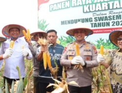 Dukung Swasembada Pangan 2025, Kapolres Pelalawan Ikut Panen Raya Jagung Serentak