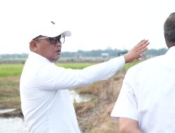 Bupati Pelalawan Tinjau Kawasan Persawahan Untuk Pengembangan Sentra Pangan Dan Wisata