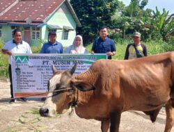 Indahnya Berbagi Kebahagiaan, PT. Musim Mas Salurkan Hewan Qurban Kepada Masyarakat dan Pekerja