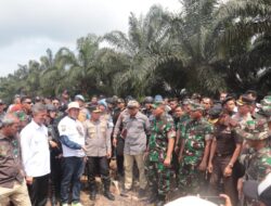 Serahkan Secara Sukarela, Kembali Satgas PKH Eksekusi Lahan Sawit Seluas 301 Hektare di TNTN