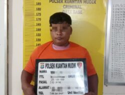 Polsek Kuantan Mudik Berhasil Ungkap Peredaran Narkoba Jenis Sabu, Seorang Pengedar Diamankan