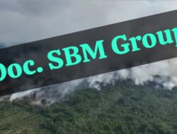 Kebakaran Hebat Kembali Melanda Pelalawan, Diduga Kuat Konsesi HTI Perusahaan