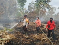Kebakaran Lahan Masyarakat di Desa Sungai Ara Berhasil di Padamkan Tim Gabungan Bersama Polres Pelalawan