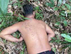 Penemuan Mayat di Perkebunan Sawit Desa Lubuk Ambacang, Polsek Hulu Kuantan Bertindak Cepat